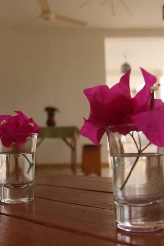 Hostal B & B Le Nomade