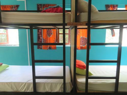 Praiadise Hostel