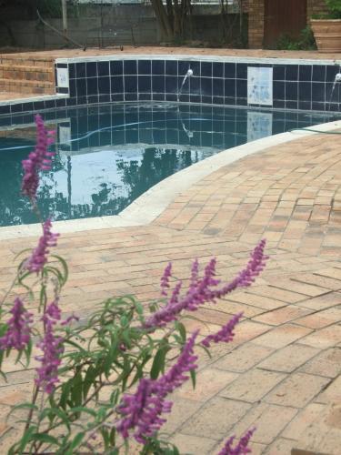 Bed & Breakfast Maitland Meander