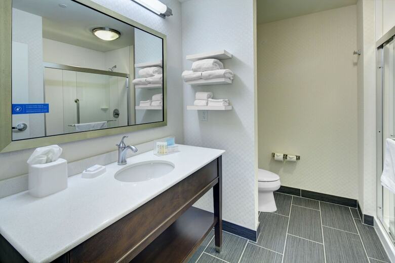 Hotel Hampton Inn And Suites Roanoke-downtown, Va