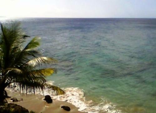 Apartamento Brisas De Borinquen