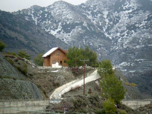 Agros Timber Log House