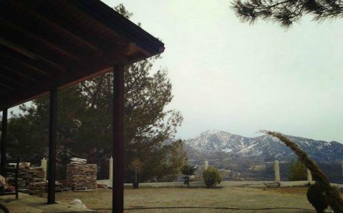 Agros Timber Log House
