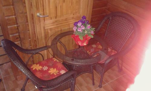 Agros Timber Log House