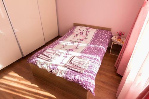 Domus Apartment Iglika