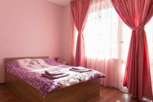 Domus Apartment Iglika