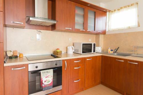 Domus Apartment Iglika