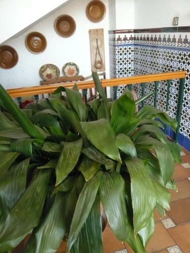 Hotel Venta Las Delicias