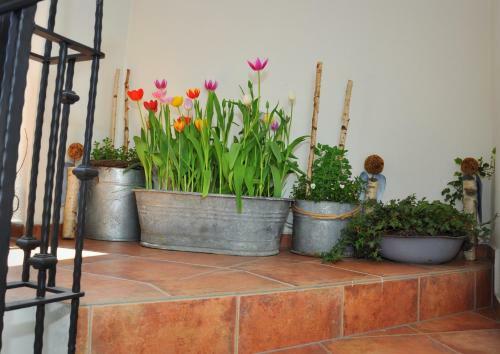 Apartm�ny U Vav?ince