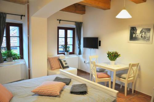 Apartm�ny U Vav?ince