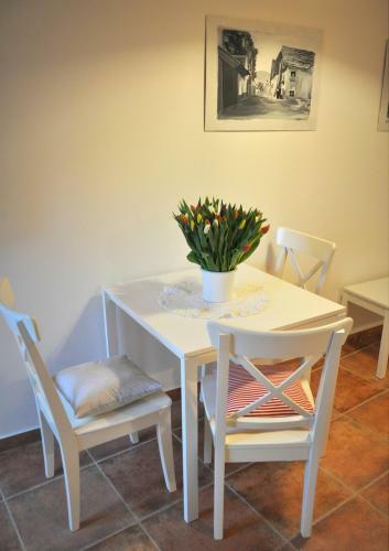 Apartm�ny U Vav?ince
