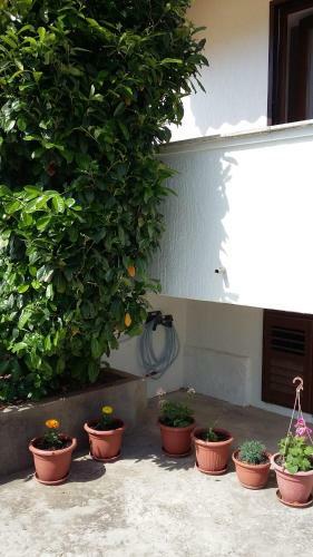 Apartman Mila