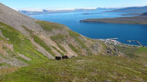 Fjord Guesthouse B&B