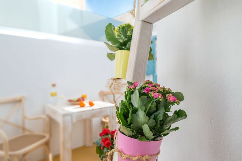 Apartamento Calliope House