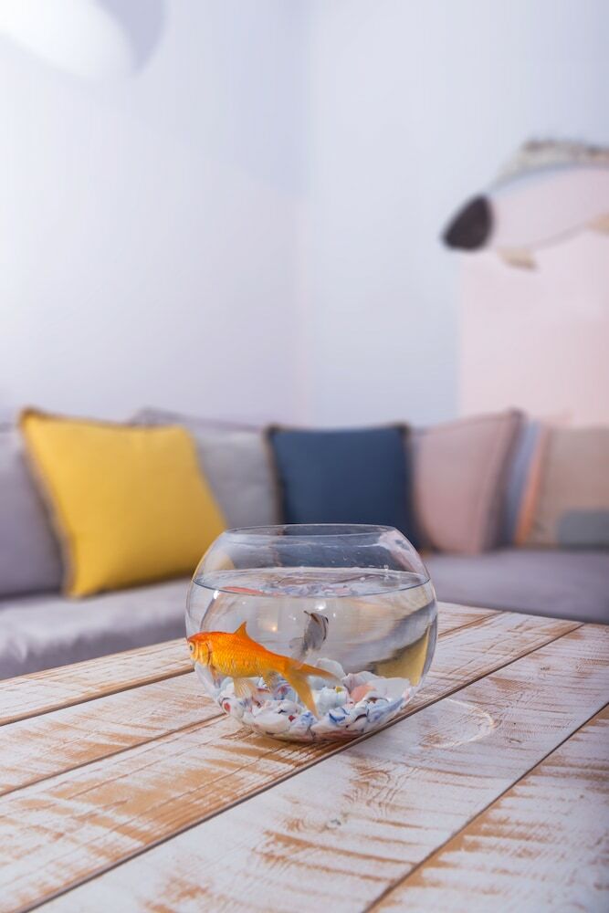 Apartamento Calliope House
