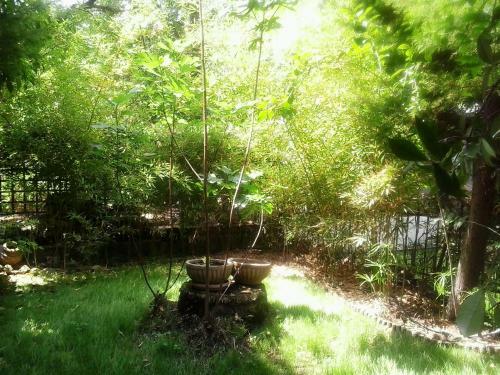 Apartamento Charming Maisonette