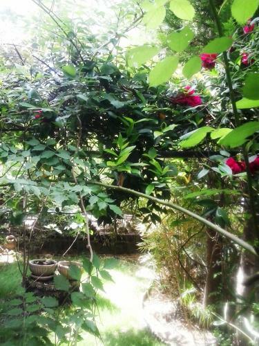 Apartamento Charming Maisonette