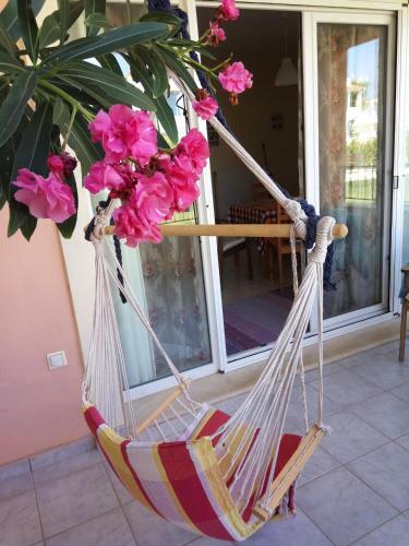 Dream Vacation Apartment