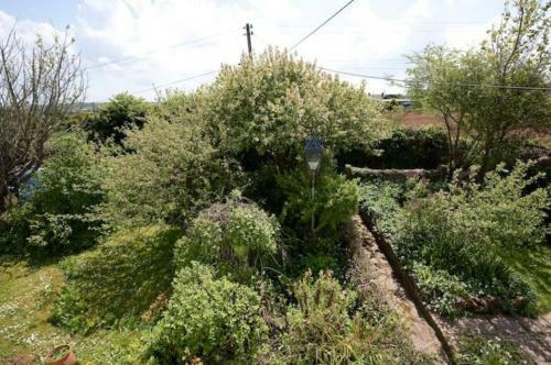 Willow Cottage