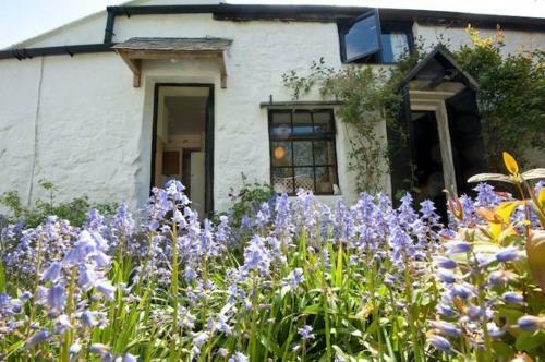 Willow Cottage