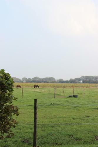 Bed & Breakfast Gastenverblijven Boerderij Het Driespan