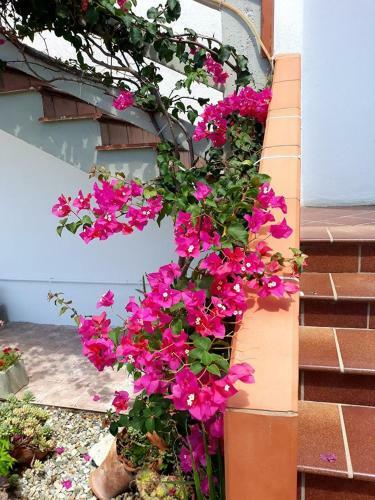 Bed & Breakfast La Dimora Degli Artisti