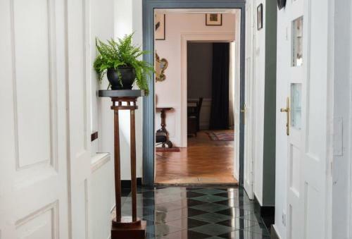 Apartamento Augusta