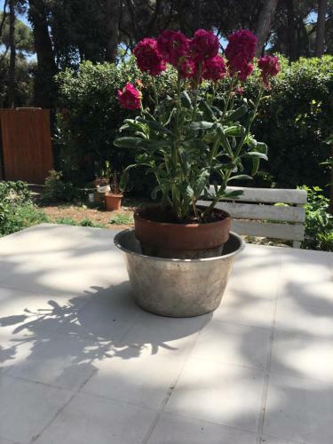 Bed & Breakfast La Casa Di Nataly