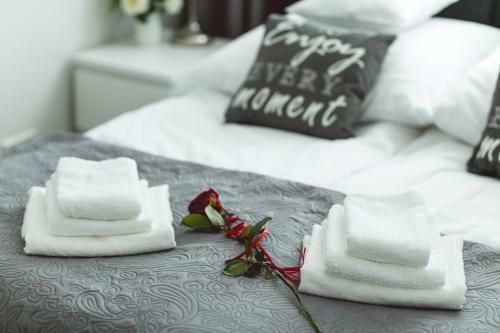Silver Apart Rzesz�w