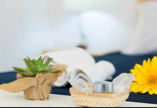 B&B Casa Armonia