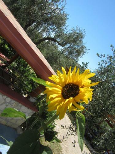 Apartamento B&B Casa Vacanze Tor Di Lupo
