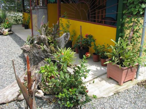 Apartamento Caribbean Comfort