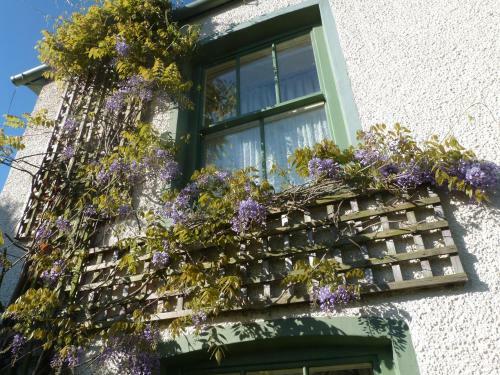 Bed & Breakfast Pomona