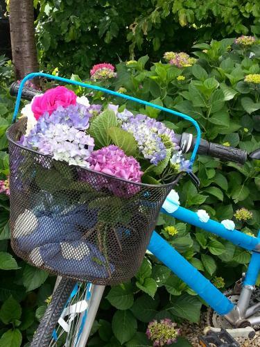 G�te Timellen