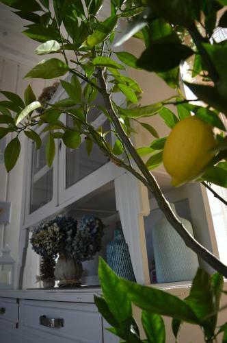 G�te Timellen