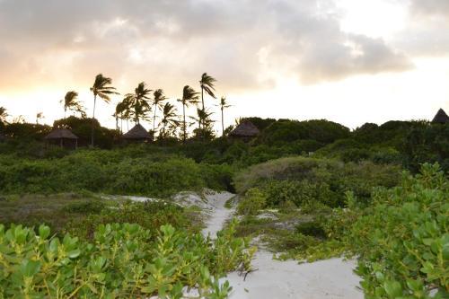 Turtle Bay Bed And Breakfast