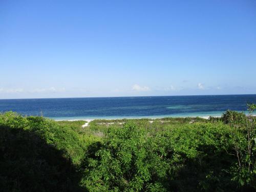 Turtle Bay Bed And Breakfast