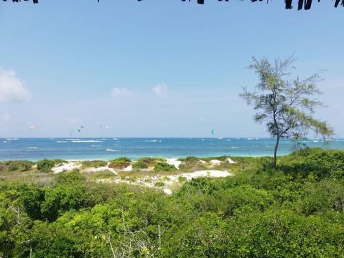 Turtle Bay Bed And Breakfast