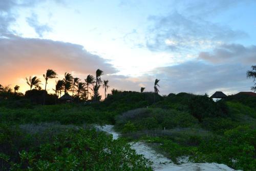 Turtle Bay Bed And Breakfast