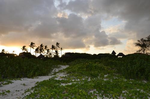 Turtle Bay Bed And Breakfast