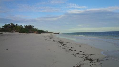 Turtle Bay Bed And Breakfast