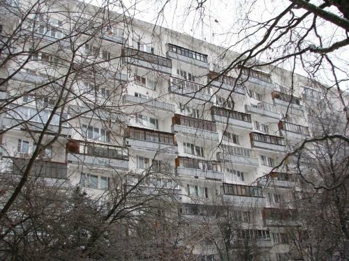 Apartment Alexander