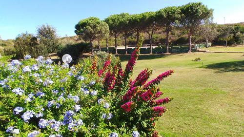 Apartamento Residence Sottomonte