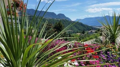 Hostal Pension Weinberg