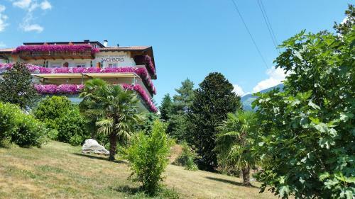Hostal Pension Weinberg