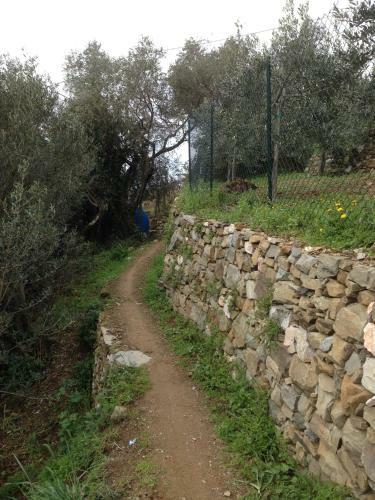 Agroturismo Il Nettare Agriturismo