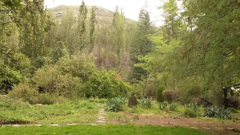 Hostal Woodlands Retreat