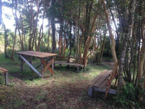 Caba�as Del Lago Huillinco
