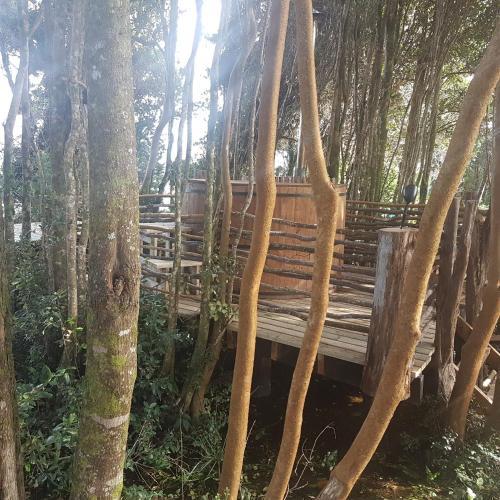 Caba�as Del Lago Huillinco