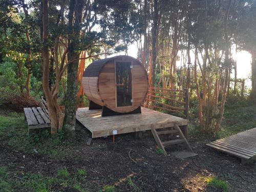 Caba�as Del Lago Huillinco